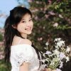 知心的头像
