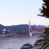 大婶的头像