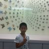 万事如意 的头像