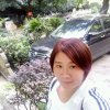 忘忧鸟的头像
