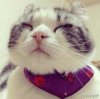 小ting的头像