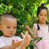 1笑2过东月20徒的头像