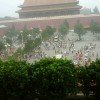 太阳的头像