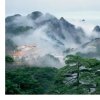 豫新公司徐的头像