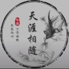 走天涯的头像