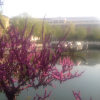 花花的头像