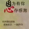 阳光默默的头像