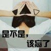 不忘心痛忘则不舍的头像