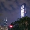 映山红起落人生的头像