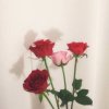 缘分让我认识你的头像
