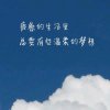 天晴的头像