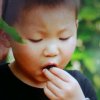 吴成福的头像