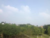 明月清风的头像