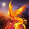 凤凰涅槃的头像
