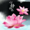 心静如水的头像