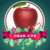 红苹果的头像
