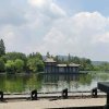 飞雪的头像