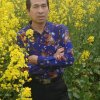 ♪龙在江湖的头像