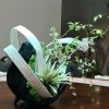 虹丽的头像