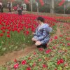 彩云 之南 小妹不离不弃的头像