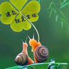 海哥的头像
