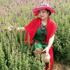 兰心幽静的头像