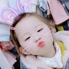 燕子的头像