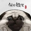 曙光矜持金池的头像