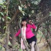  蝶舞飞扬的头像