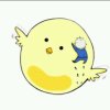 XDHLCY的头像