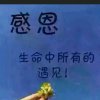 灰太狼的头像