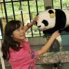 李杨枰垚的头像
