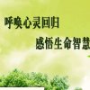 心的归回的头像
