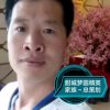 大风起兮的头像