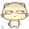 注意你de态度的头像