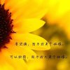 阳光女孩的头像