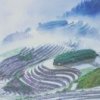 老石有田有饭吃。的头像