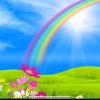 彩虹的头像