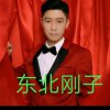 东北刚子（伤感歌曲）的头像