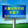 歌声留住岁月的头像