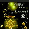 无情的人的头像