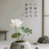 领悟的头像