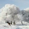 放飞梦想的头像