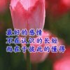 方平的头像