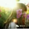 ➣春暖花开的头像