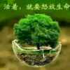 抹不去的记忆的头像