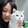 【MJ】艳子的头像