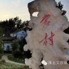 张建华的头像