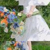 芳芳的头像