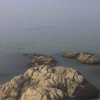 平安是福的头像